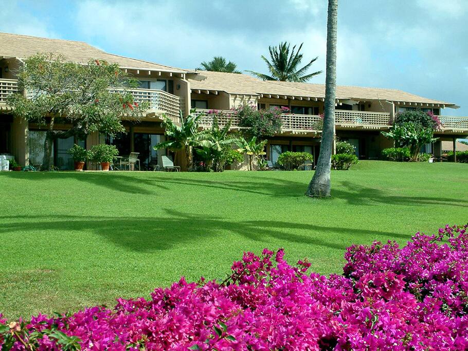 Beautiful grounds