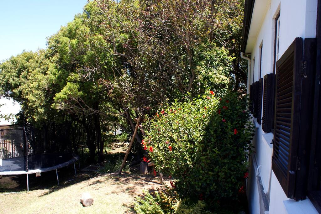 Front Garden to the right