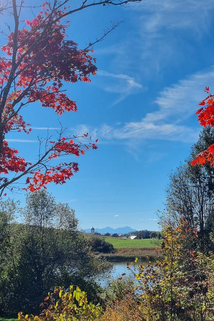 Family vacation between Lake Constance & Wangen i.A. 3 Schlz.