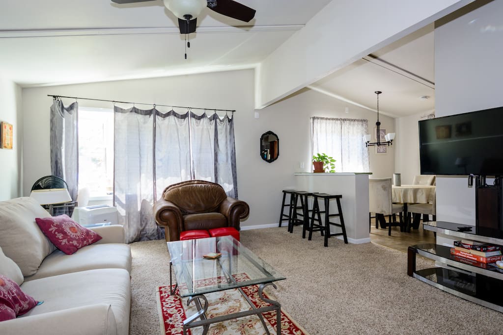 Living room - Lots of natural light, plenty of seating and a fold out couch