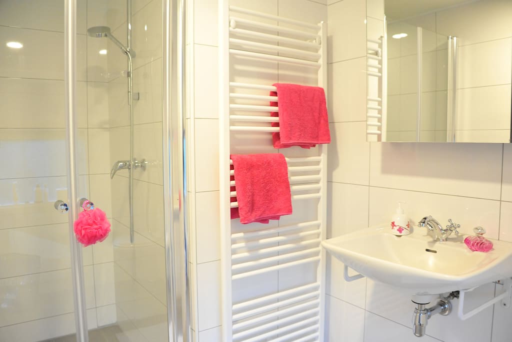 Badkamer beneden met douche