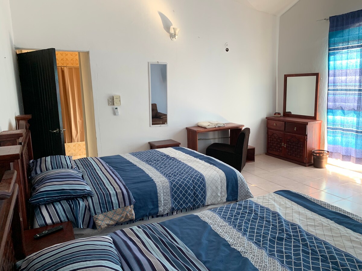 The room features two spacious beds dressed in blue and white striped linens. A wooden dresser and desk are present, with a black chair positioned in front. Light streams in through large windows covered with patterned curtains, creating a bright and airy atmosphere.