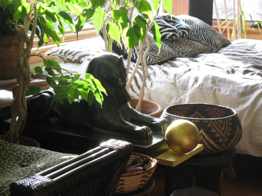 Zebra bed protected by the Sphinx
