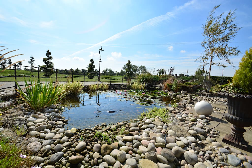Sit by the pond and enjoy the sound of water