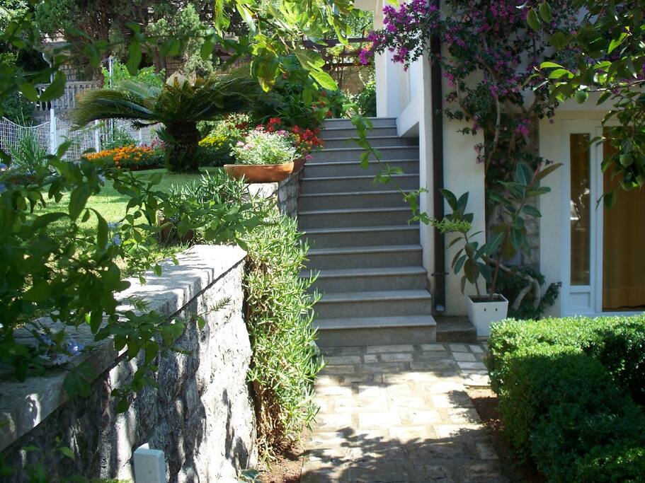 Garden surrounding our home