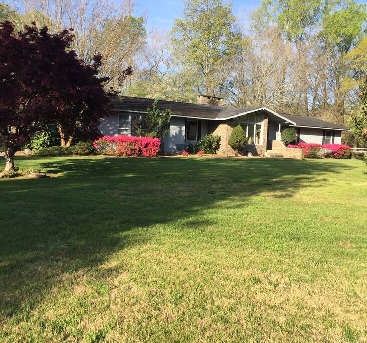 Front of house in Spring