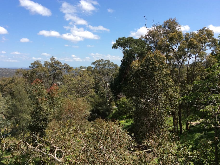 Trees and vistas for miles all very private