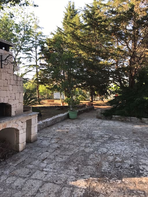 wood oven and bbq