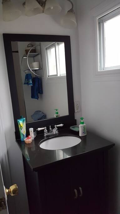 vanity shown, washrooms contains bathtub with rainforest shower head and handheld unit for convenience.