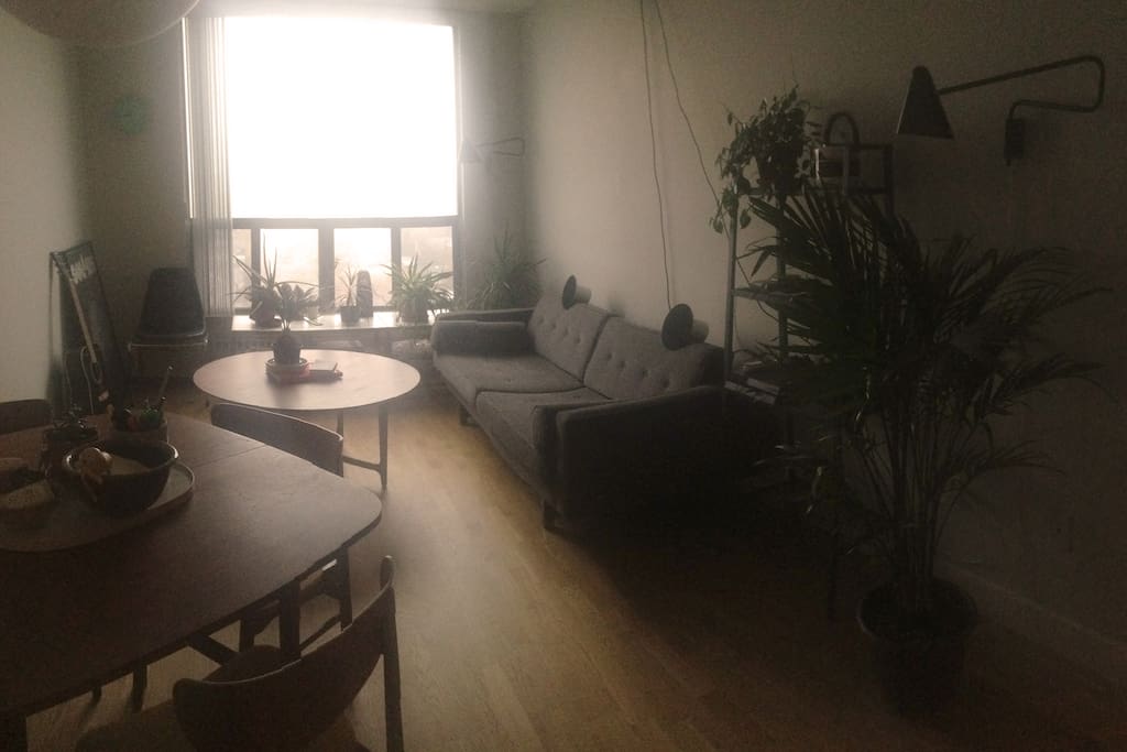 A big couch and plenty of plants to keep you company