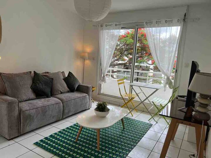 Locations de vacances à SaintDenis Airbnb