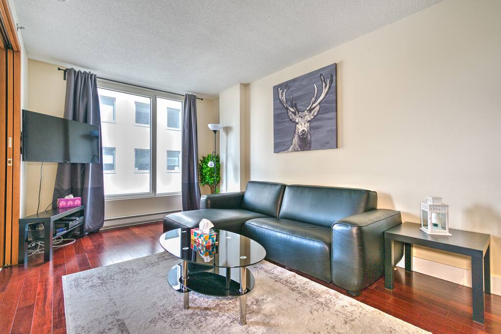living room ( sofa, coffee table, TV)