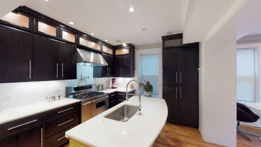 Chicago’s Bridgeport Huge 4 Story w/Garage Parking gallery image 4