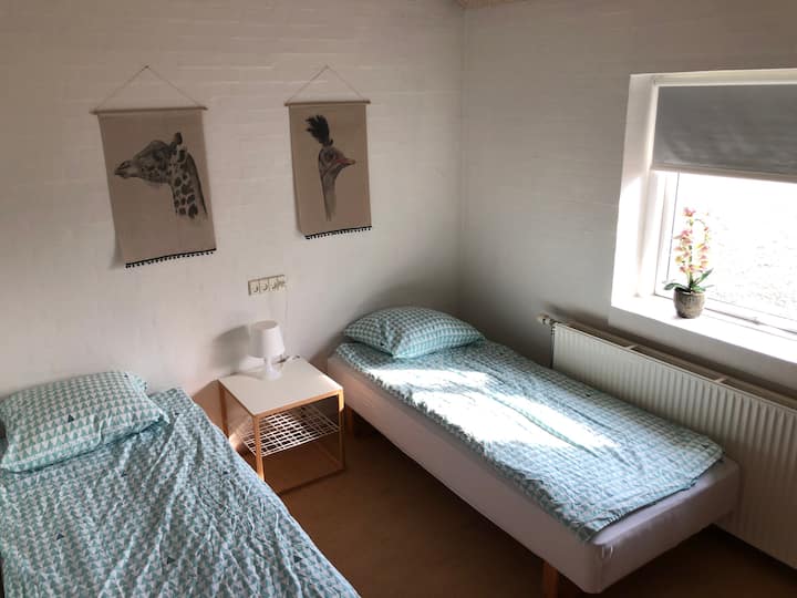 Astrup Vacation Rentals & Homes - Denmark | Airbnb