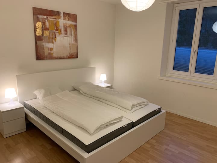 Stadtzentrum / Wollishofen 3 Schlafzimmer, 100 m ² Wohnungen zur