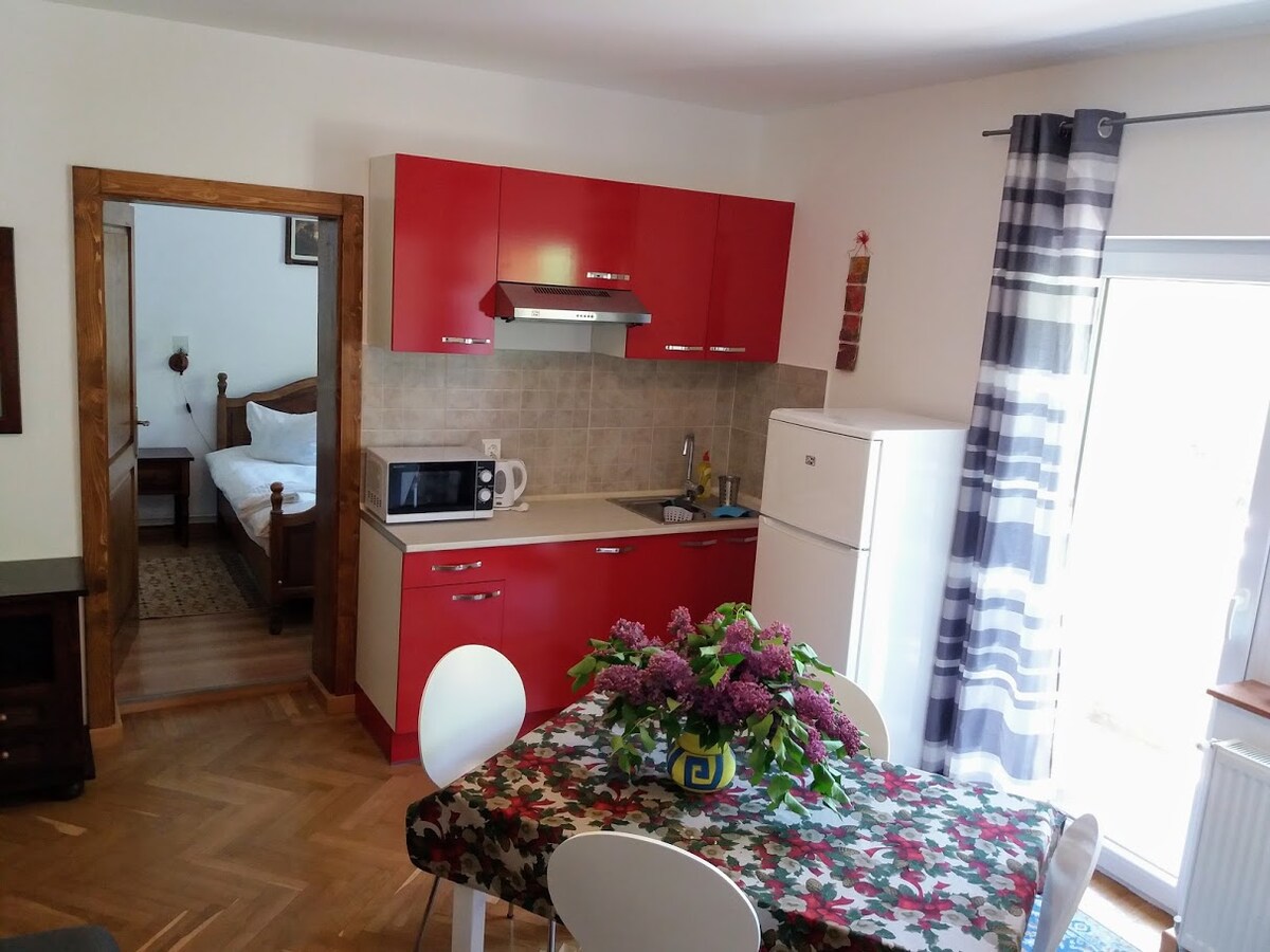 A bright kitchen area features red cabinetry and a dining table set with six chairs, adorned with a floral tablecloth. Essential appliances, including a microwave, refrigerator, and cooking area, are visible. Natural light enters through a nearby door leading to the bedroom.