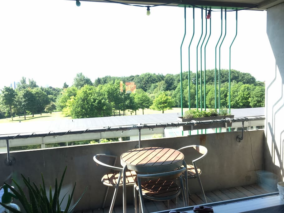 the view