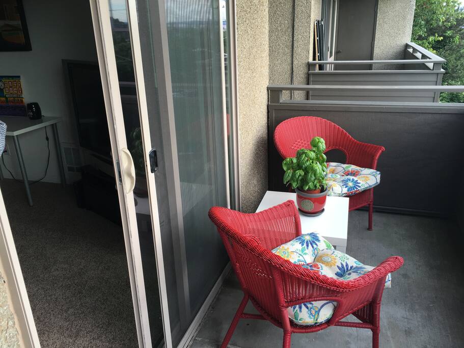 Deck with two chairs and basil plant