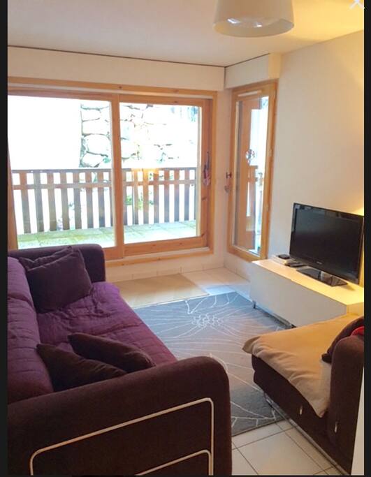 lounge with TV, DVD and sofa bed