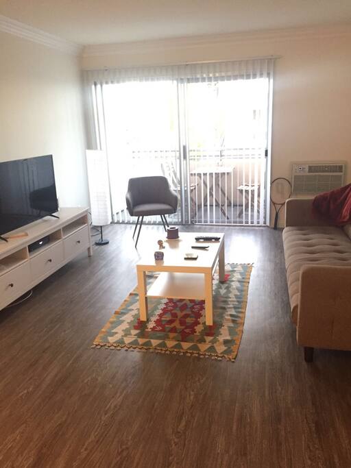 Living Room with TV and Wifi and a pull-out couch