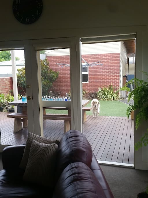 From inside the house looking out at the studio accommodation.