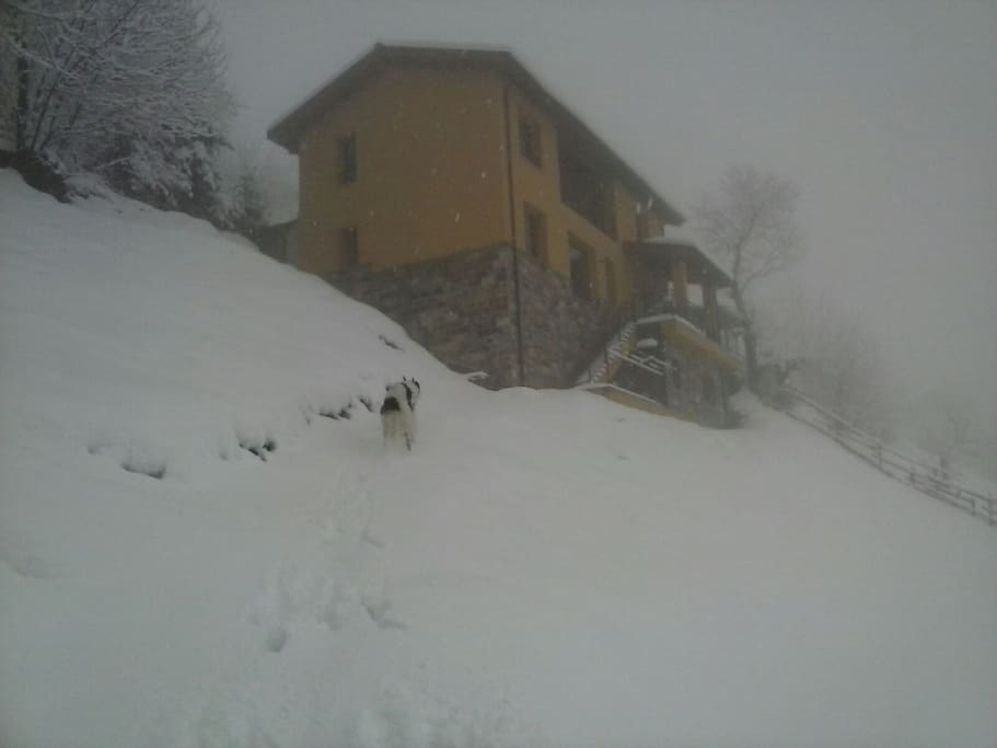 casa con nieve