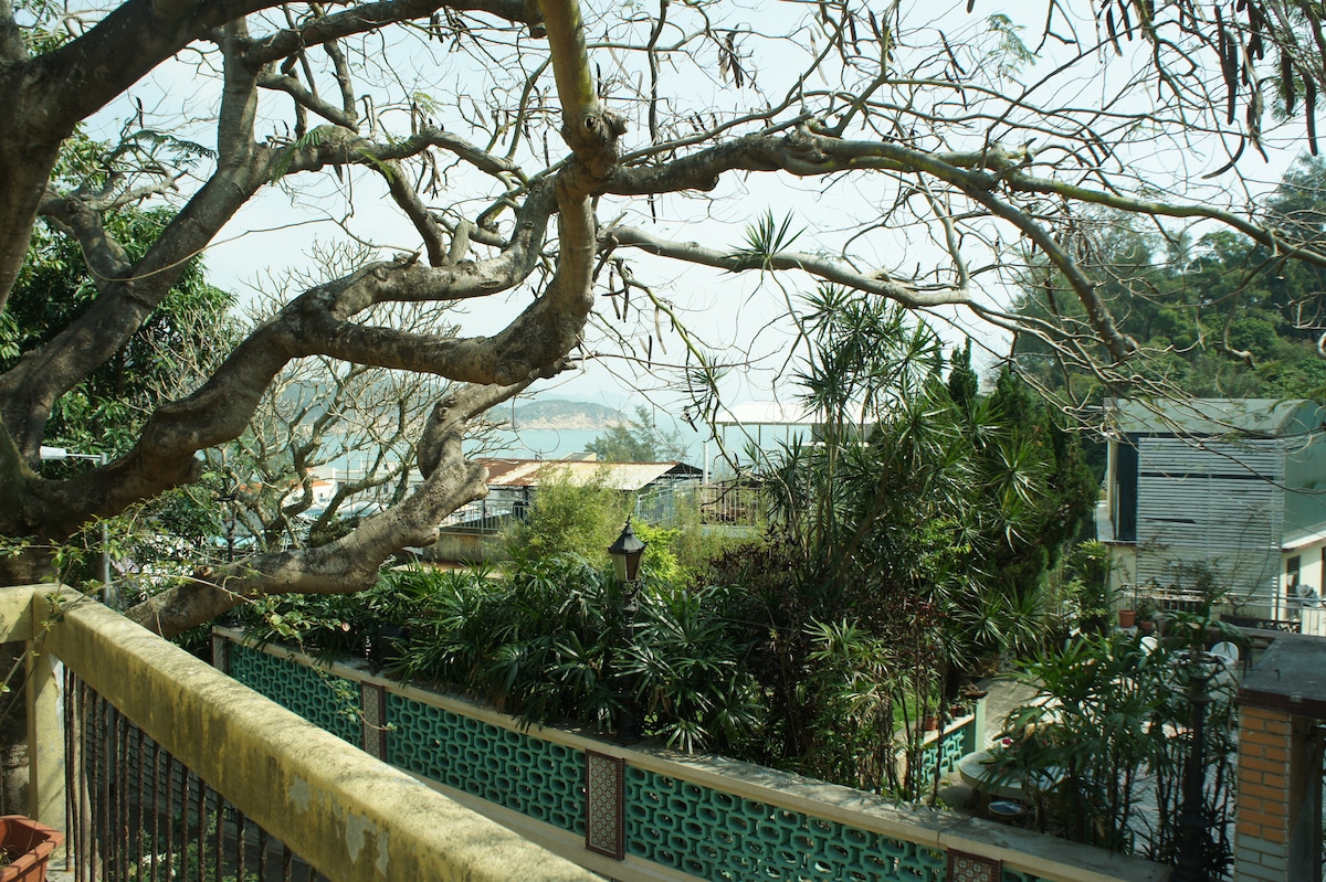 A view of the surroundings is presented, featuring a mix of lush greenery and distant water. Trees with bare branches frame the scene, while plants and buildings are visible alongside the natural landscape. Clear skies enhance the tranquil atmosphere.