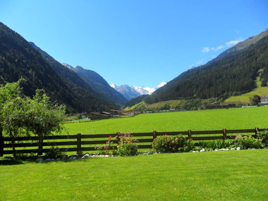 Ausblick von der Ferienwohnung Weitblick.
Im Hintergrund die schnee- und eisbedeckten Berge des Stubaier Gletschers.
