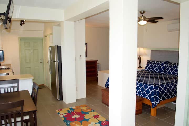 פריסת סטודיו פתוחה