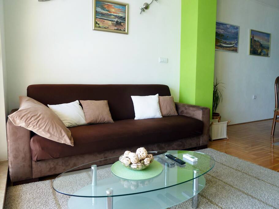 The living room; sofa used for extra 2 people