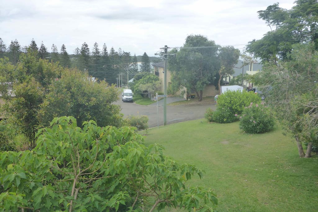 Front garden from verandah