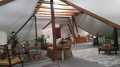 Large Modern Studio Loft 
In Heritage Mansion