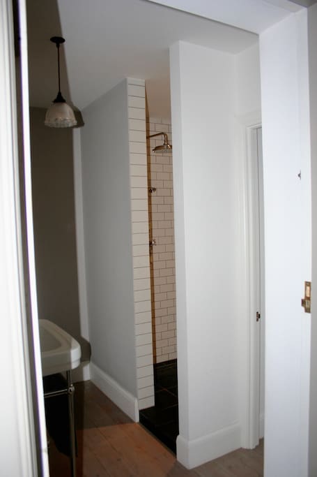 Downstairs shower area with shower room