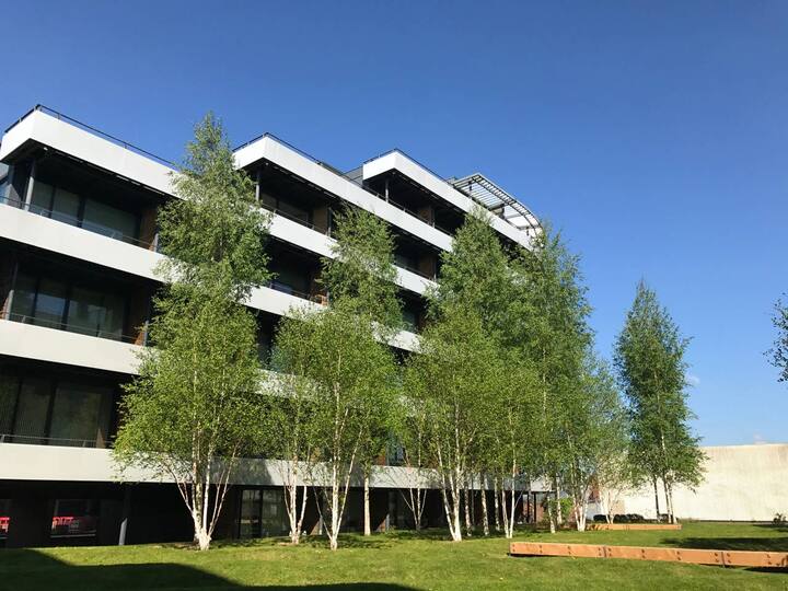 Top 10 Best Airbnb Vacation Rentals In Altrincham, UK Updated 2024 Trip101