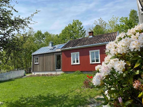 Small seaside house on the edge of the forest, with garden