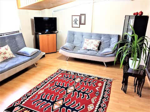 Comfy ROOF Flat with Terrace (2+1, 100 m2+terrace)