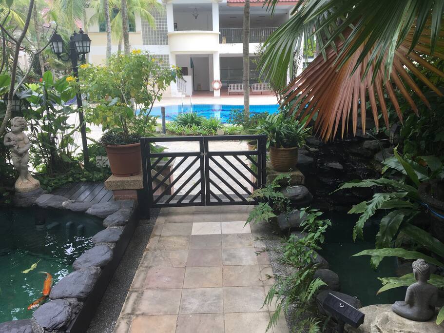 Swimming pool in front of the house