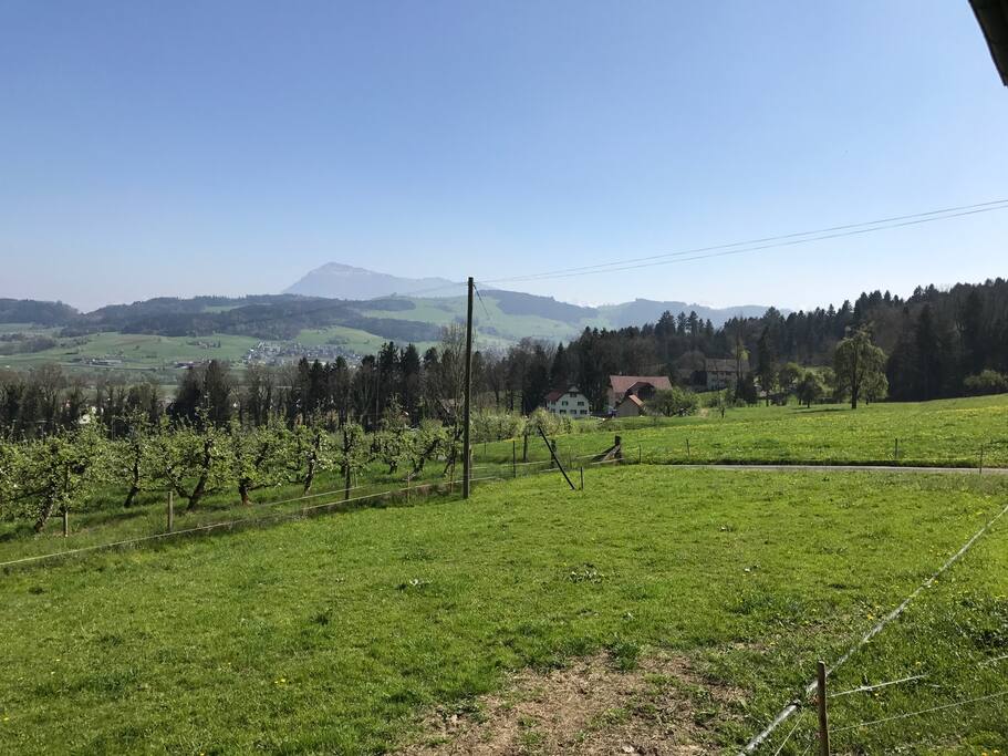 Die traumhafte Aussicht von der Veranda aus / the breathtaking view from the veranda