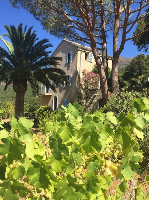 Vue du jardin