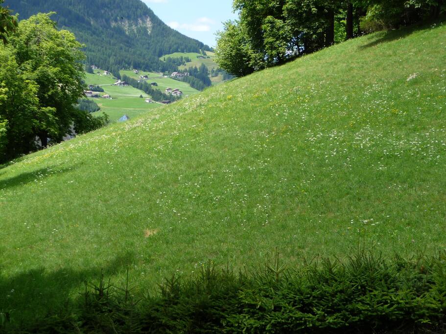 Ortisei