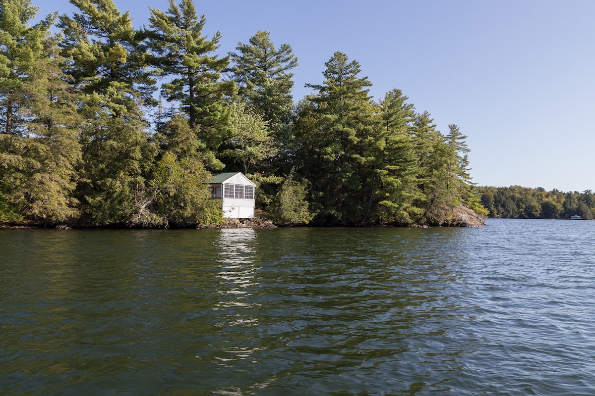 A charming cabin is nestled among dense greenery on the edge of a serene lake. Tall trees surround the structure, creating a natural barrier, while the calm water reflects the clear blue sky overhead.