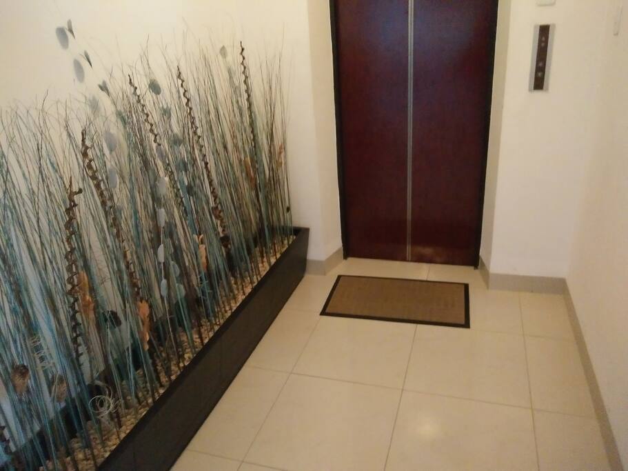 Elevator to the Unit. Key (card) activated.