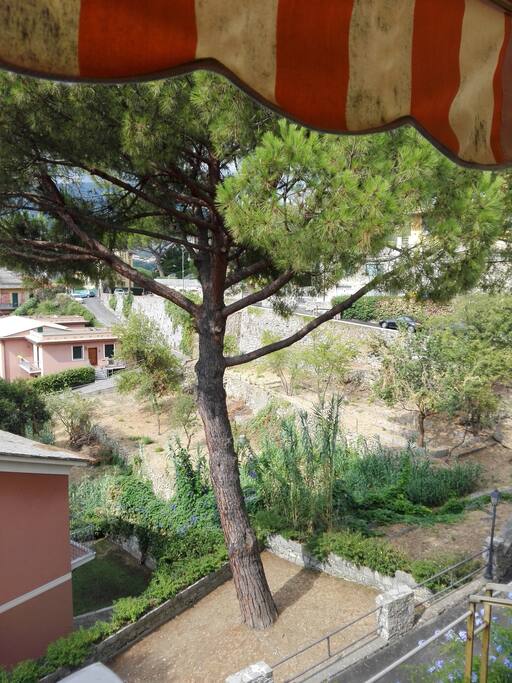 vista da terrazzo