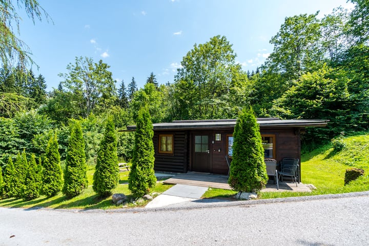 Chalets Im Brixental V - Tirol