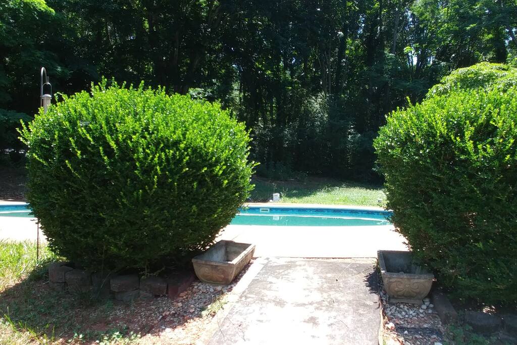 Pool for your enjoyment!