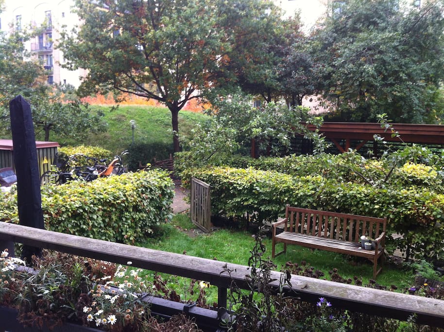 View from balcony towards private garden and shared yard