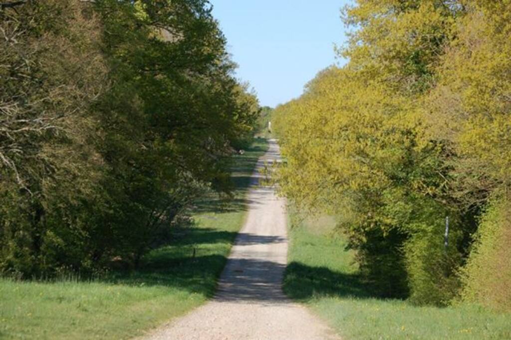 Allée pour arriver à la maison