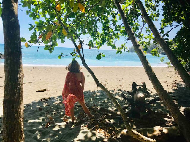 Entire home with 3 bedrooms in Puntarenas Province - CASA ARENOSA | On the Beach +Plunge Pool!