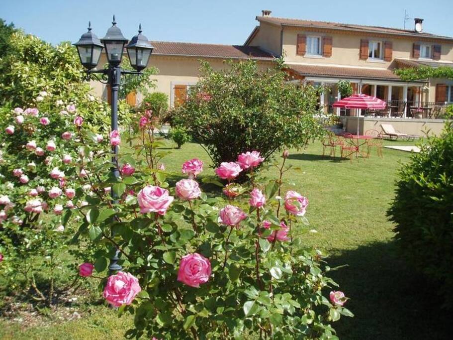 La maison et ses rosiers