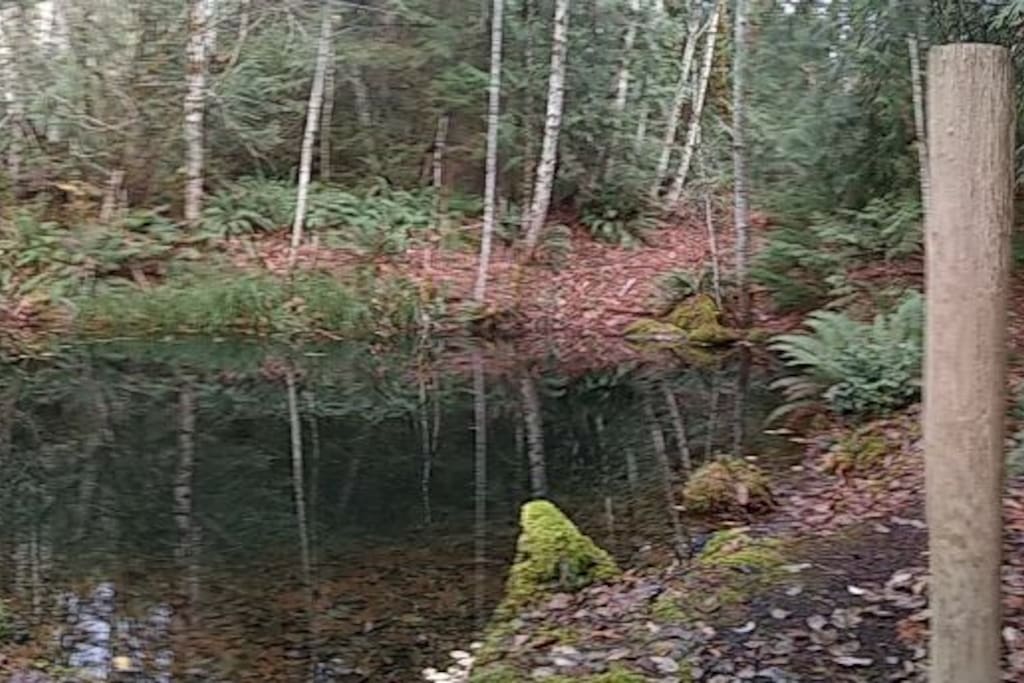Small pond right across driveway